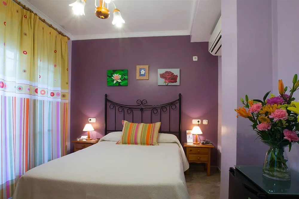 Hotel Miraya Beach Torre Del Mar 2*,